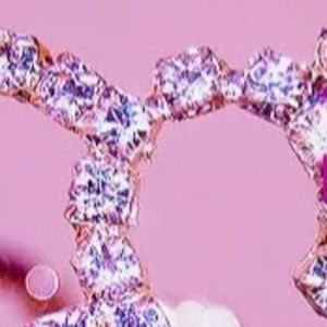 Meet your Posher, Chayil